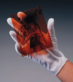 Cotton Inspection Gloves