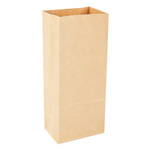 Kraft Poly-Lined Paper Bag without Tabs