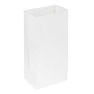 White Poly-Lined Paper Bags without Tabs