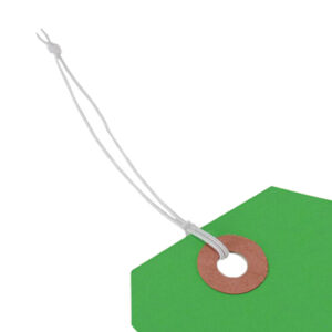 Elastic Loops