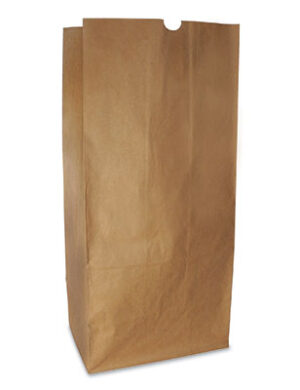 Paper Lawn and Leaf Bags - 50 lb
