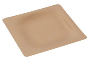 Compostable Plate