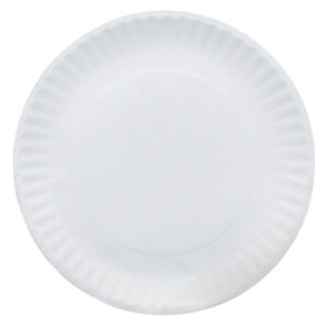 Paper Plate