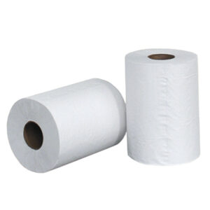 Embossed Paper Towels on a Roll