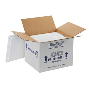 Insulated Styrofoam Shipping Boxes - 32 ECT