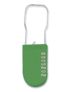 Padlock Seals